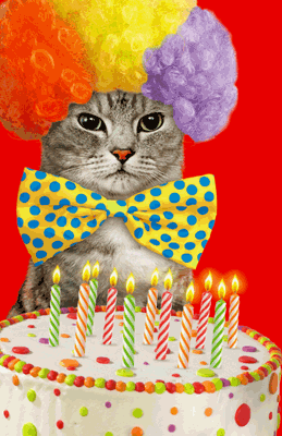 birthday cat ittude greeting card happy birthday printable card