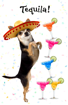 "Tequila Birthday"  Birthday Printable Card  Blue 