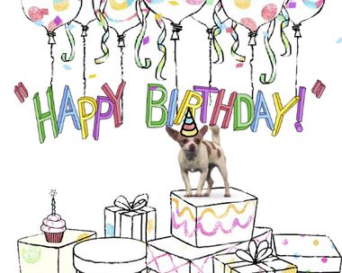 Age 3~ Happy Birthday~ Boy & Dog on Trampoline/sweeties greeting card ~ free p&p