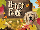 Fall Fun Interactive Autumn eCards