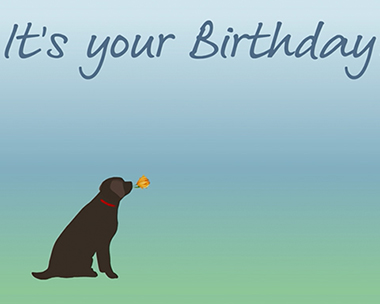 It's Your Birthday E-Gift Card