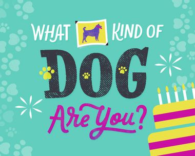 What Kind of Dog Are You? Interactive Quiz