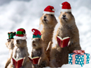 Prairie Dog Christmas Singing Video Ecard (Personalize Lyrics) Christmas eCards