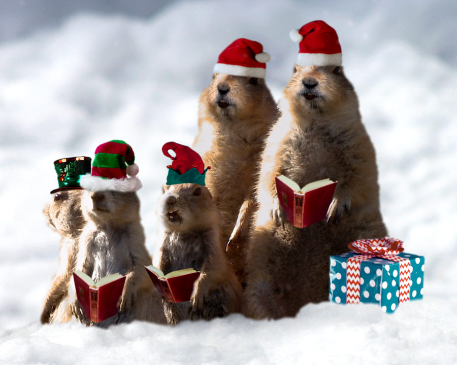 Christmas eCards & Electronic Christmas Cards  Blue Mountain