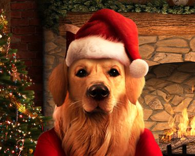 Talking Santa Dog (Personalize) Christmas eCards