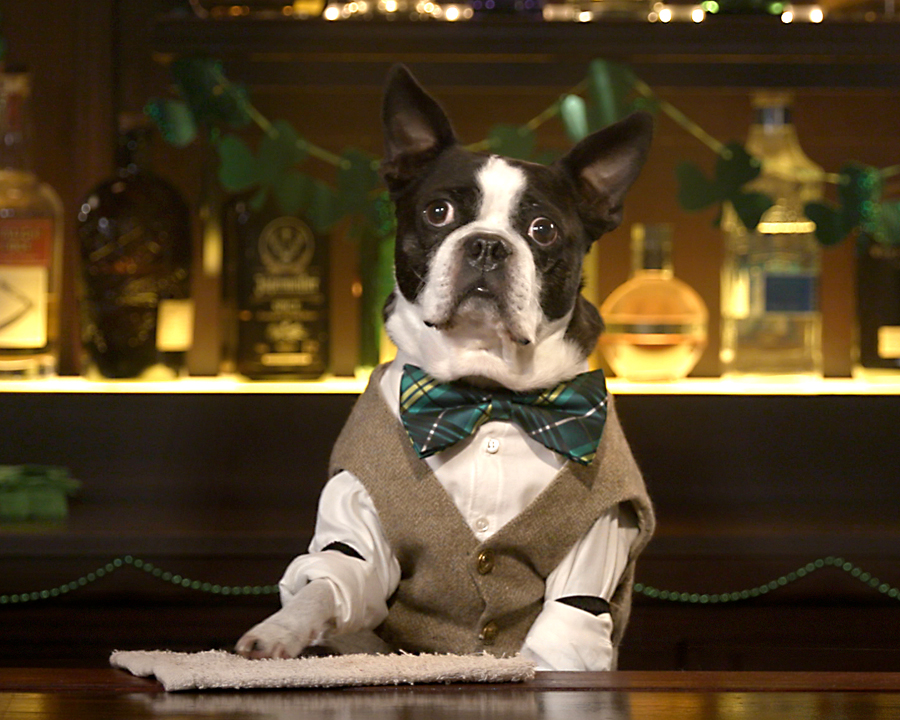 A Toast from Paddy's Pub (Personalize) St. Patrick's Day eCards