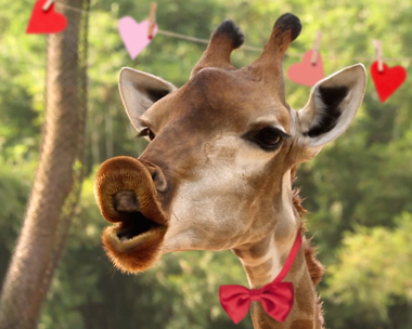 "You Sexy Thing" Anniversary Smashup Anniversary eCards