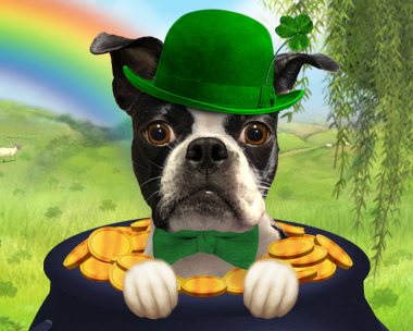 blue mountain ecards st patricks day
