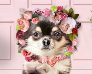 Talking Dog Mother's Day (Personalize) Mother's Day eCards