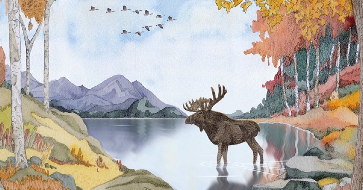 Greeting Cards & Animated Ecards Jacquie Lawson Cards