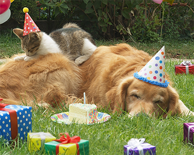 'Rock This Town' Birthday SmashUp (Personalize)