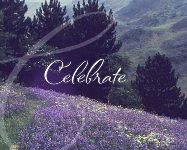 Reasons to Celebrate