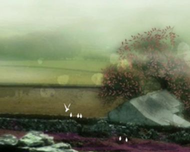 St. Patrick's Day Magic