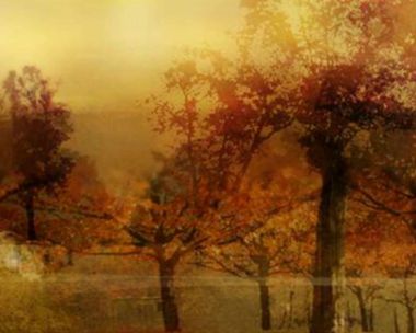 Halloween Smiles on You