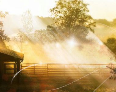 Your Day, Just Right