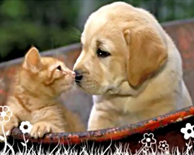 You'll Always Be There Ecard Just Because eCards