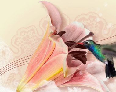 Wishing You a Special Day