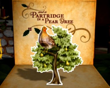 12 Days of Christmas