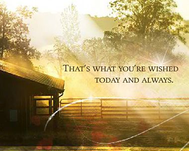 Have a Day That's Just Right