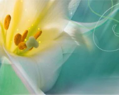 Thanks for Your Warm Hospitality