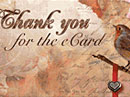 Thank You for the eCard Thank You eCards