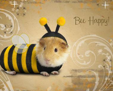 Bee Happy