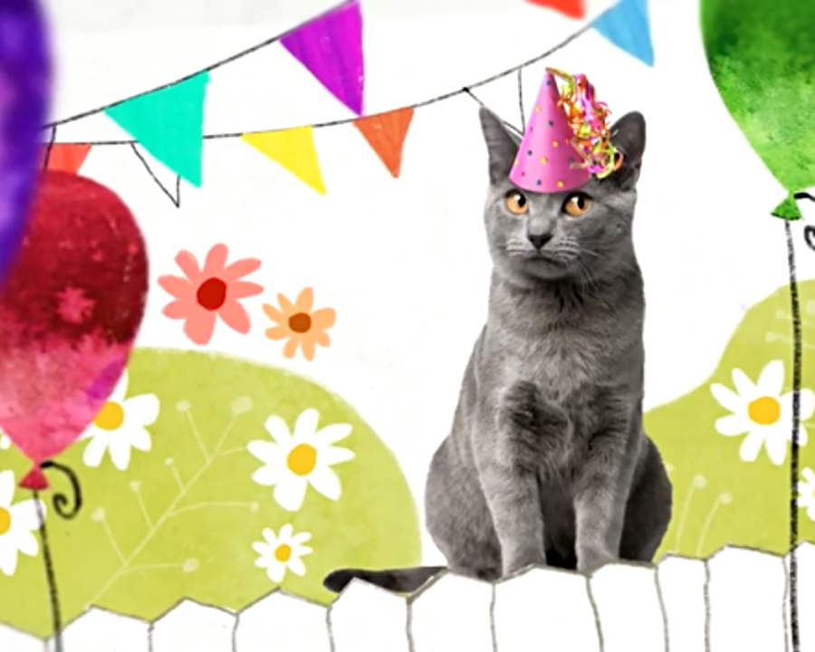 Furball Surprise Ecard American Greetings