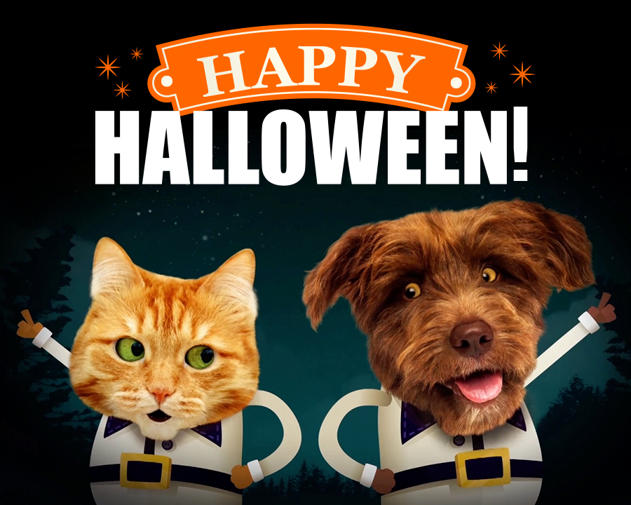 ""Boogie Shoes" Ecard (Famous Song)" Halloween eCard ""Boogie Shoes" Ecard (Famous Song)" Halloween eCard