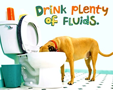 Drink Plenty of Fluids Ecard Get Well eCards