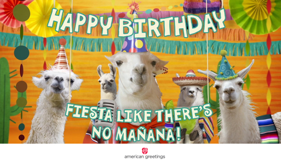 Llama 'La Bamba' Birthday (Famous Song) - Happy Birthday 