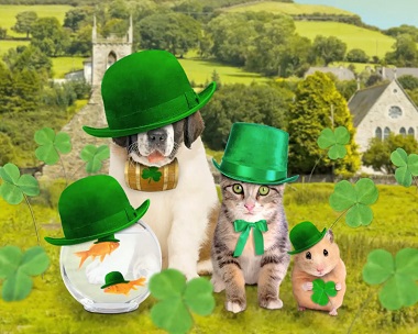 Funny St. Patrick's Day Memes & Ecards