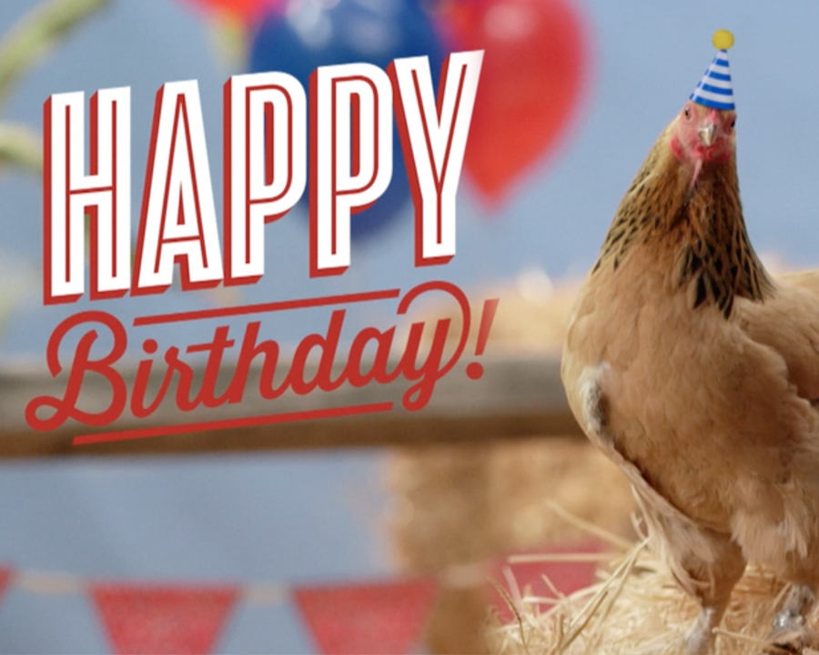 Chicken Playing Piano Birthday Song Ecard | American Greetings