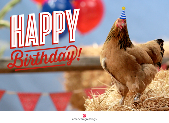 Chicken Playing Piano Birthday Song - Happy Birthday Ecard 