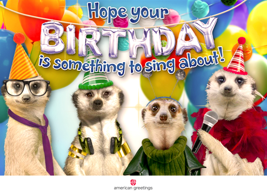 Meerkat Birthday (Fun Song) - Happy Birthday Ecard | American Greetings
