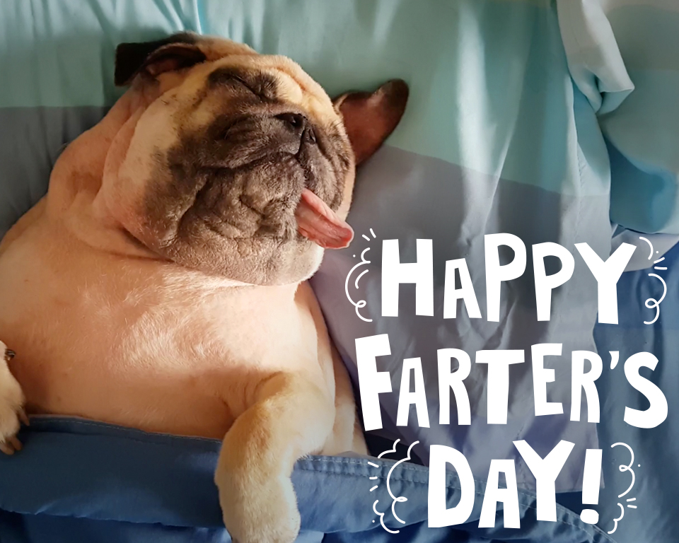 Happy Farter's Day Happy Farter's Day