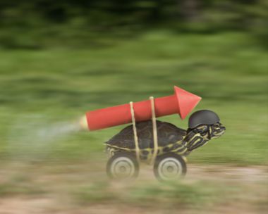 Cake It to the Limit