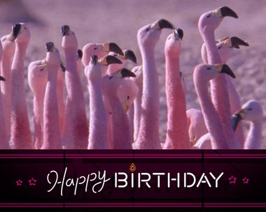 Birthdays Look Good on You