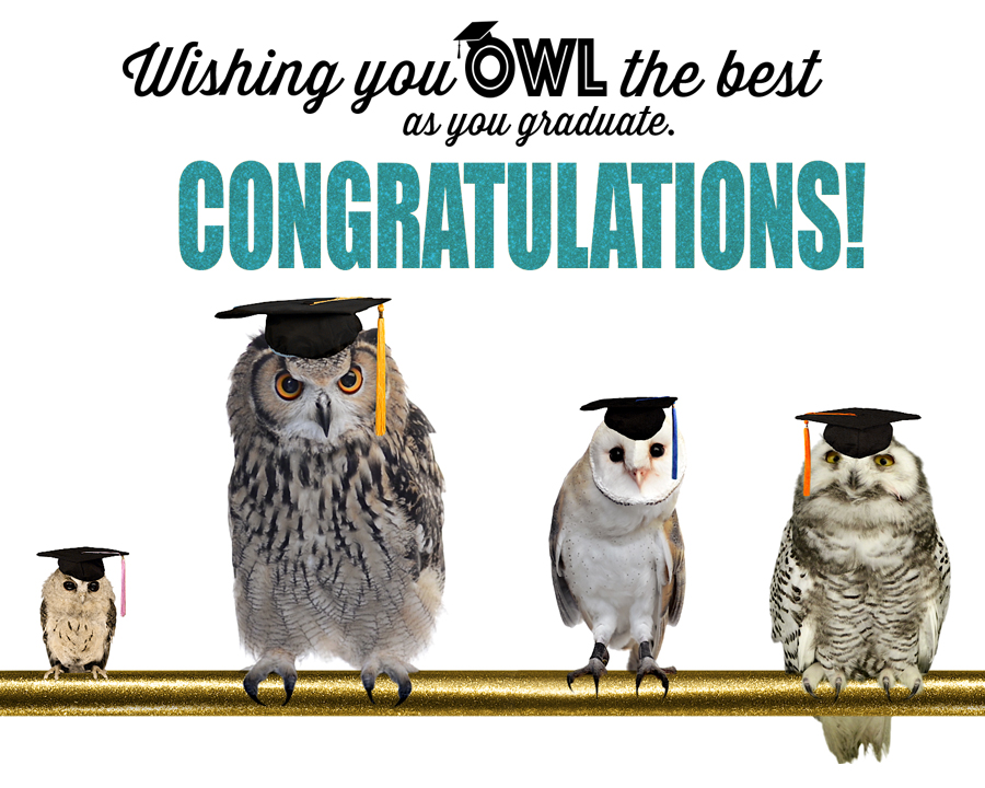 Owl the Best as You Graduate Ecard | American Greetings