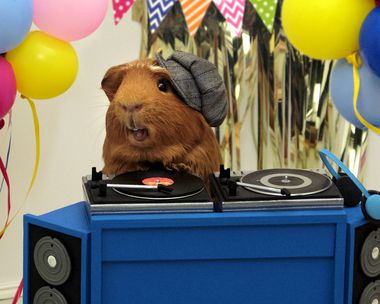 Candles on the Cake (Famous Song)