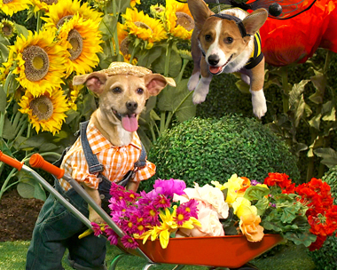 Happy Birthday Time (Fun Song) Birthday eCards