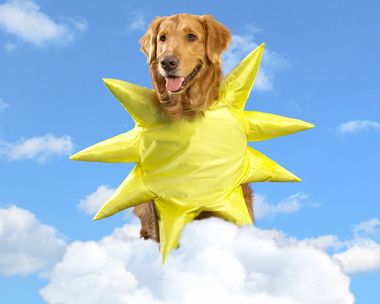 Sending Sunshine (Fun Song) Have a Nice Day eCards