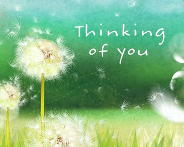 ecards-thinking-of-you-at-this-difficult-time--master_380x304.jpg