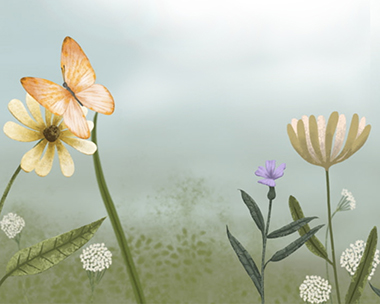 Butterfly Encouragement