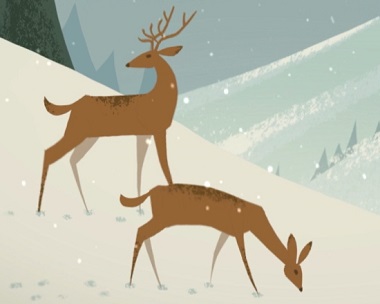 Splendor of the Season