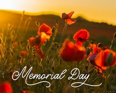 Pay Homage - Memorial Day, Birthday & Greeting Cards by Davia