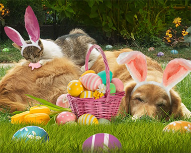 'Hop This Town' Easter