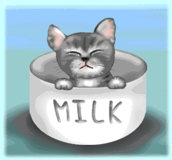 Animated kitten in a milk bowl