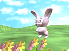 hopping bunny