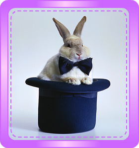 rabbit in a hat