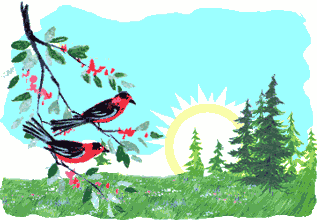 birds watch a sunrise